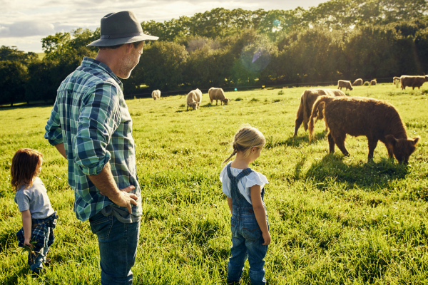 A farmer stands in a field with his two daughts as they watch their cattle in a field.